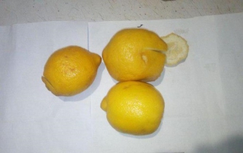 Заключенному в Бахмуте пытались передать наркотики в лимоне