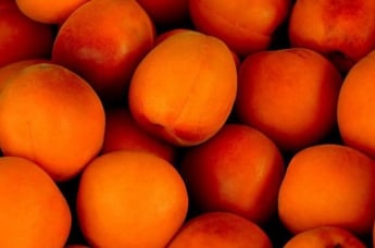 Кому нельзя есть абрикосы