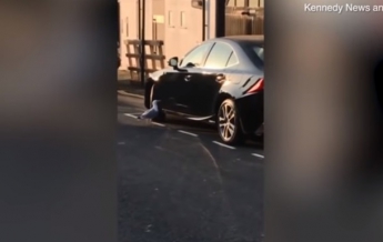 Атаковавшую люксовое авто чайку сняли на видео