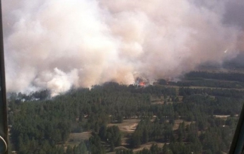 Лесной пожар на Херсонщине тушат более 200 человек (фото)