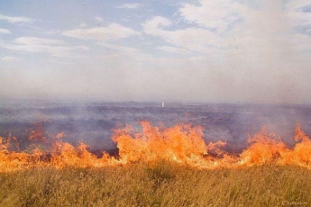 Из-за засухи в регионе начался "сезон" пожаров