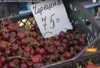 Почем мелитопольскую черешню в Киеве продают (видео)