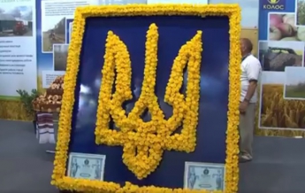 В Киеве создали огромный Герб Украины из роз (видео)