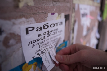 В Запорожской области девять человек претендуют на одно рабочее место