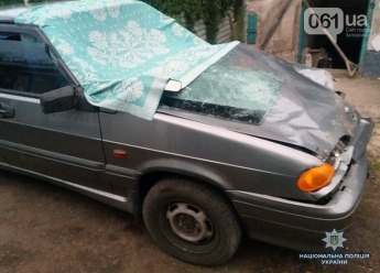 В Запорожской области машина насмерть сбила пару, которая шла по дороге, - ФОТО