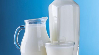 Чем заменить молоко в рационе