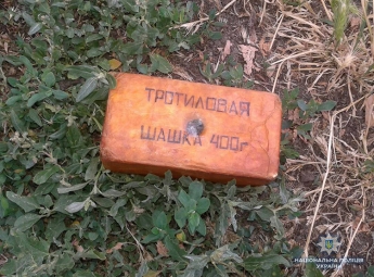 В Запорожской области полицейские изъяли 400 грамм взрывчатки