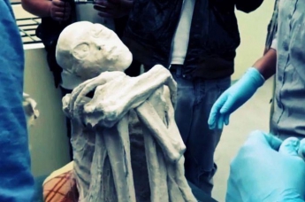 Трехпалая мумия из Перу принадлежит неизвестному науке виду человека