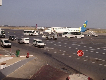 В Киев вернулась часть украинцев, "застрявших" в аэропорту Туниса