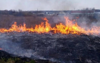 В Украине чрезвычайная пожарная опасность