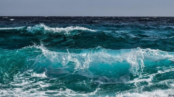 Океан "выбросил" на берег тайное послание (фото)