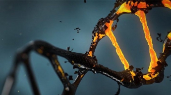 Тест ДНК: что можно узнать о себе из результатов