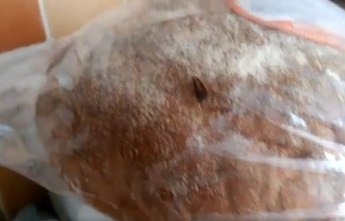 Жительница Запорожской области купила хлеб с живым прусаком (фото)