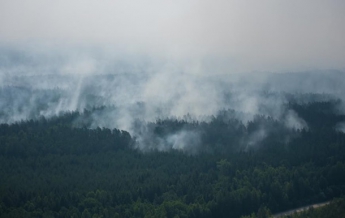 В Латвии бушуют лесные пожары