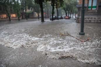 Затопленные улицы и поваленные деревья: последствия непогоды в Запорожье