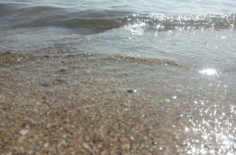 Зеленая напасть миновала: в Бердянске чистые пляжи с прозрачной водой