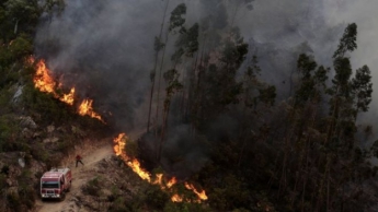 Аномальная жара в Европе: Португалия борется с пожарами, в Испании есть первые жертвы