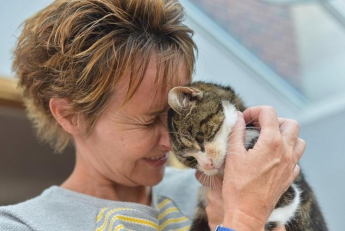 Кошка вернулась домой через 13 лет после исчезновения