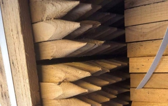 Из Украины в Польшу пытались вывезти 20 тонн ценной древесины (фото)
