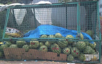 В Запорожье предпринимателям испортили оставленные для продажи арбузы (фото)