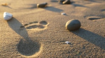 В Запорожской области преступника нашли по следам на песке