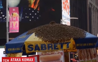 Тысячи пчел напали на зонтик в Нью-Йорке