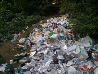 Шприцы, ампулы, упаковки с фамилиями и мусор: в Запорожье обнаружили огромную свалку медицинских отходов - ФОТО