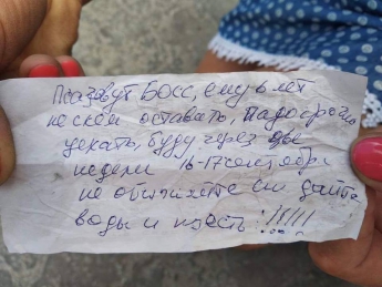 Житель Запорожья бросил пса на улице, прикрепив к ошейнику записку (ФОТО)