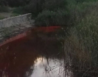 Власть Запорожья анонсирует начало расчистки небольших рек и водоемов