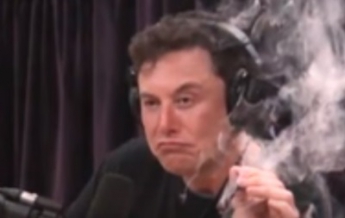 Илон Маск покурил марихуану в прямом эфире (видео)
