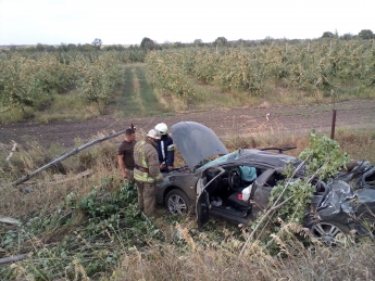 В Донецкой области автомобиль врезался в дерево, двое людей погибли