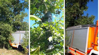 В Ужгороде на дереве повесился 21-летний парень (фото)