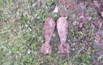 Во Львовской области нашли 47 минометных мин
