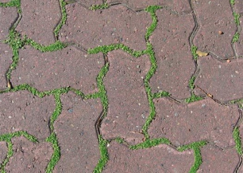 Легкий спосіб позбавлення від трави між тротуарними плитками та камінцями