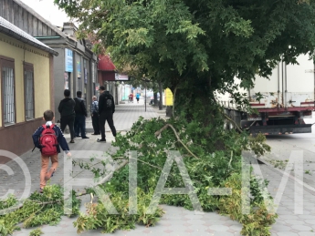 В Мелитополе водитель-дальнобойщик из Киева сломал дерево и оборвал провода (видео)