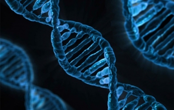 В Штатах расшифруют ДНК миллиона человек