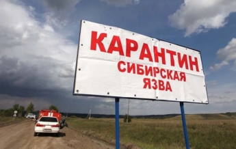 Вспышка сибирской язвы: в Одесской области появились блокпосты на дорогах