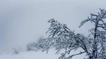 В Карпатах выпал снег (фото)