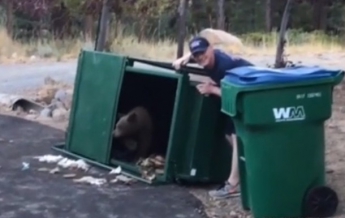 В США спасли медвежат, которые застряли в мусорнике (видео)