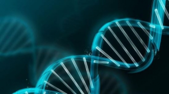 Нейросеть научилась делать предсказания по ДНК