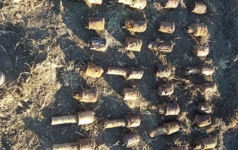 В Харьковской области во дворе дома нашли более 200 боеприпасов