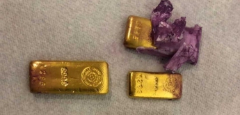 Львовские пограничники обнаружили оригинальное место для контрабанды золотых слитков из Британии (Фото)