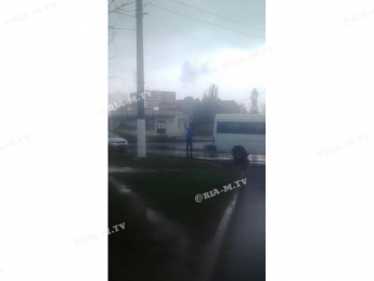 В Мелитополе прямо на дорогу упали линии электропередачи  (фото, видео)