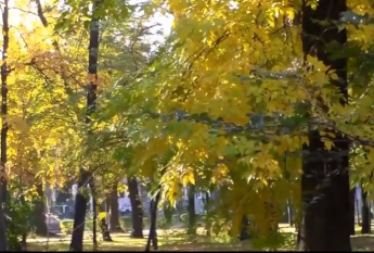 Красоту осеннего города показали на видео