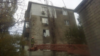 В Запорожской области старый тополь рухнул на многоэтажку (ФОТО)