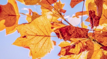 Погода на 2 октября: синоптики обещают похолодания