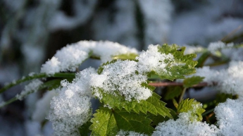 Когда в Украине выпадет снег: прогноз синоптиков