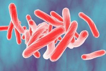 В Мелитополе жителей многоэтажек напугали угрожающие объявления о туберкулёзе