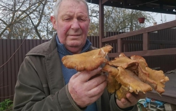 Жители Волыни насобирали грибов-гигантов (фото)