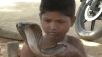 Мальчик искупался со змеями (видео)